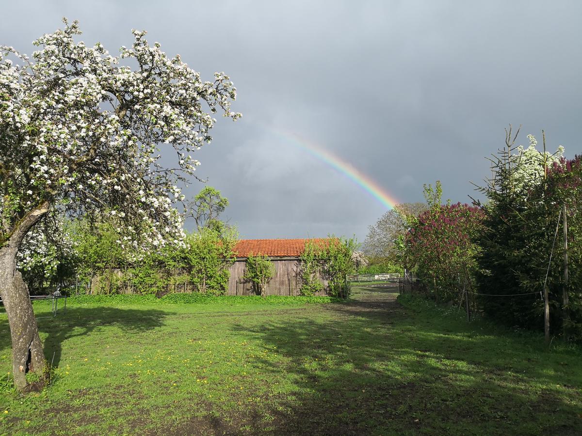 Ferienhaus Am Eisgraben Hausen  Extérieur photo